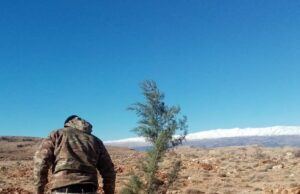 Exército planta árvores no Líbano