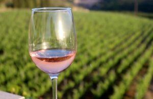 Vinho libanês é considerado o melhor do mundo