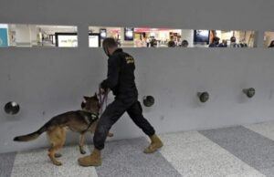 Passageiro do Brasil é preso com 11kg de cocaína ao chegar no aeroporto de Beirute