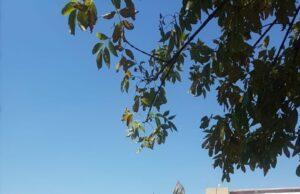 Hezbollah reivindica dois ataques a instalações militares israelenses perto da fronteira com o Líbano