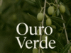 Ouro Verde do Líbano na guerra: por que preservar a tradição do azeite é também proteger a identidade de um povo
